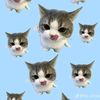 viyoraww