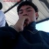 gato_xr1