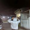 sirebyy
