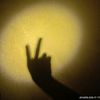 wilda_open_all1