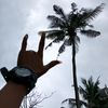 user921988720