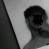 luckytachhttk