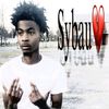 sybau_1stfirst1