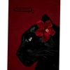 roqia.mohamed932