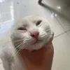 qthinhneahihihihi