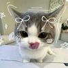 acc0cutie_exojv4