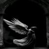 bak1bh700.slesh