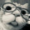 kmugppknis