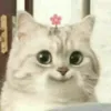 snezhasv1