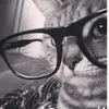 aryannalovesmtch1