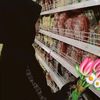 taa_1807