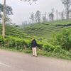 salmanismail299