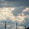 koto_376