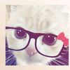 layla.lovers11