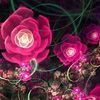saima.javed.20