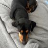 lindajames0346