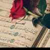 user4595411516111