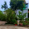 linh2mk