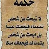 user2977692457402