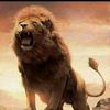 the.king1142
