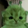 camiuu91