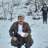 zrary.zrary734