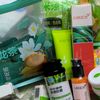 Sveta_greenleaf_almaty