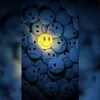 user41950761488116
