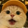 mistc_meow