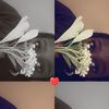 user774547065