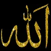 user21574188519330
