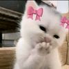 nabila_sitall.girl