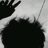 lyxn_2008
