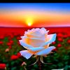 user8128192918824