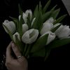 mimi_love7110