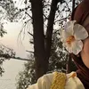 h_safaa