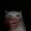 mikoslaww_