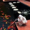 tlinhcua203