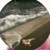 za_zz55