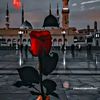 talha.khan.talha75