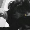 alwaysyourfaforit__