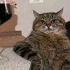 kitty213499