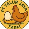 PT . TELUR JAYA FARM