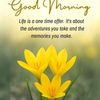 ali.asghar8753