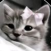 esma.saat
