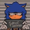 littlesonic1