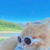 heswni_11