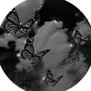 kiaruu038