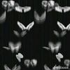linlin_01253