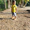 user4598181561246